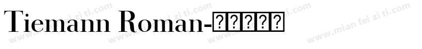 Tiemann Roman字体转换